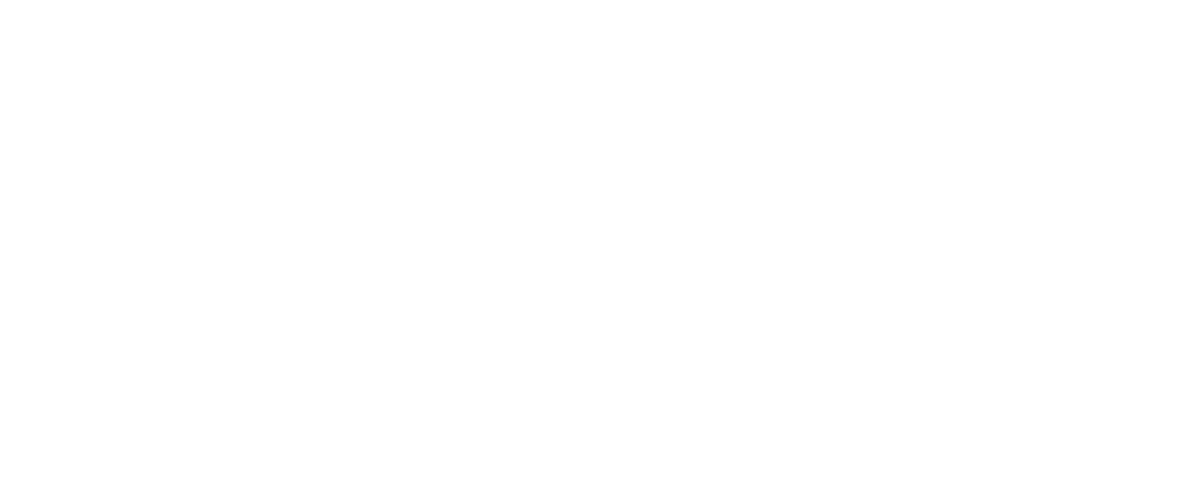 Logo Switzerland Wedding Film